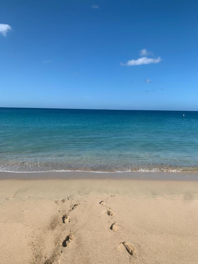 Aguadilla Waves Apt Free Parking & Wifi 8 Minute Walk From Crashboat Beach Eksteriør billede